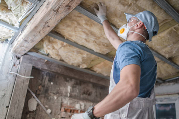 Best Insulation for Specific Applications in El Monte, CA
